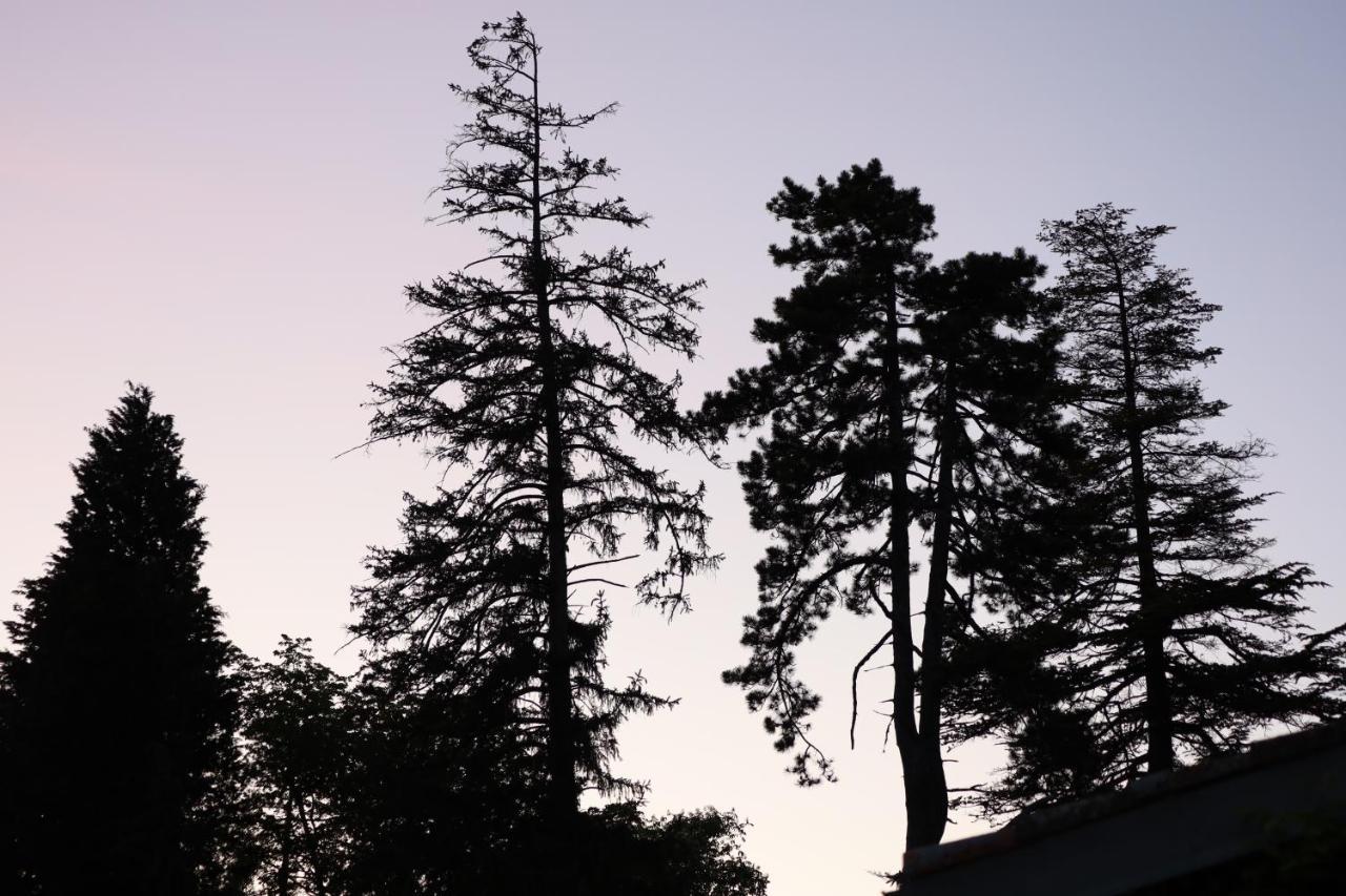 Domaine De Pouroutounat ミルポワ エクステリア 写真