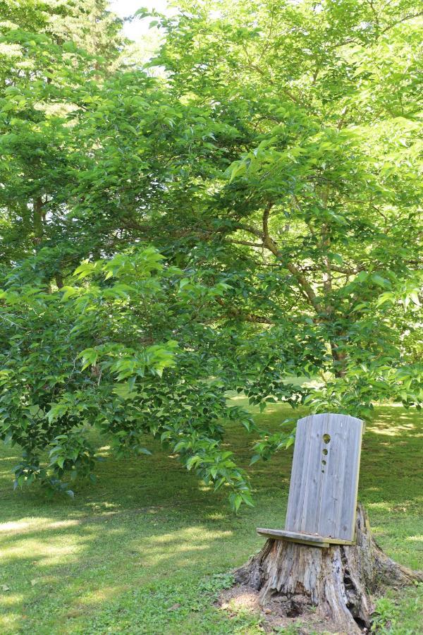 Domaine De Pouroutounat ミルポワ エクステリア 写真